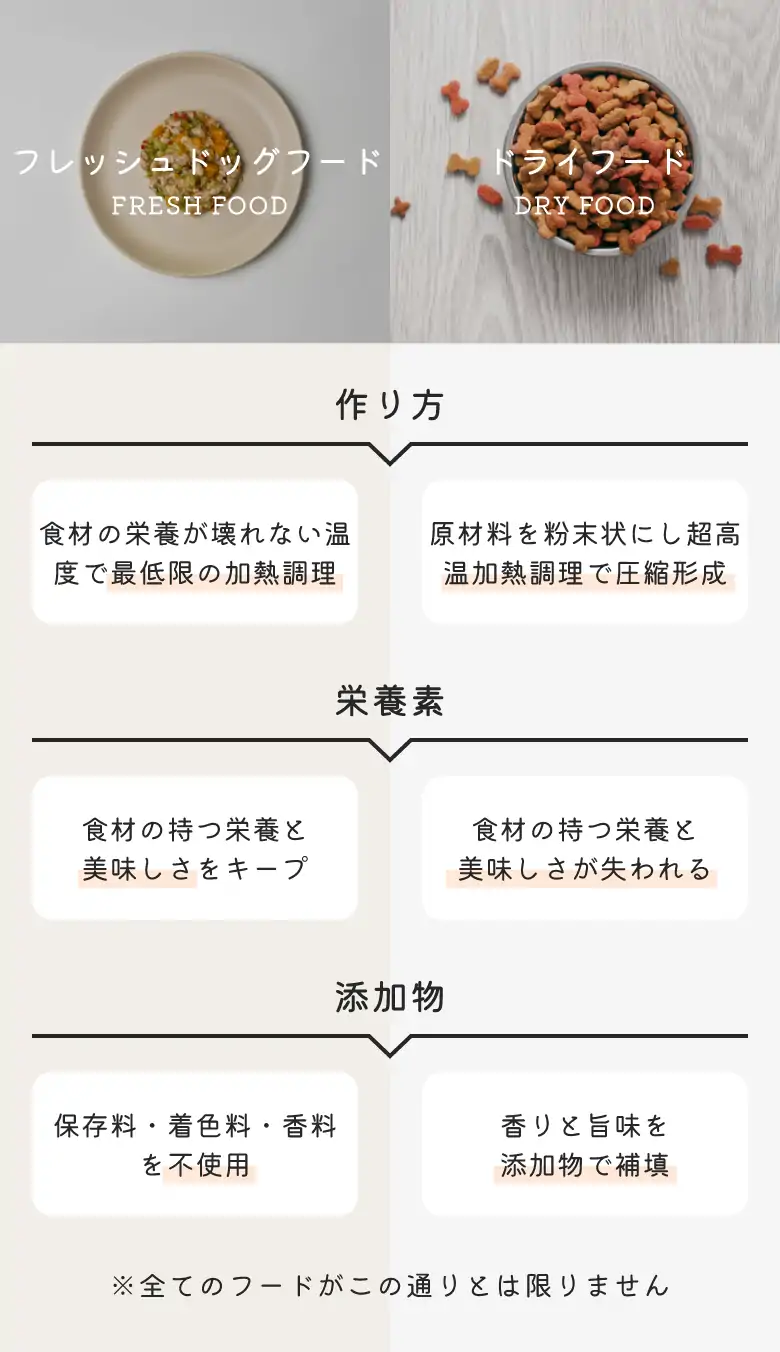 フレッシュドッグフードとドライフードの違い