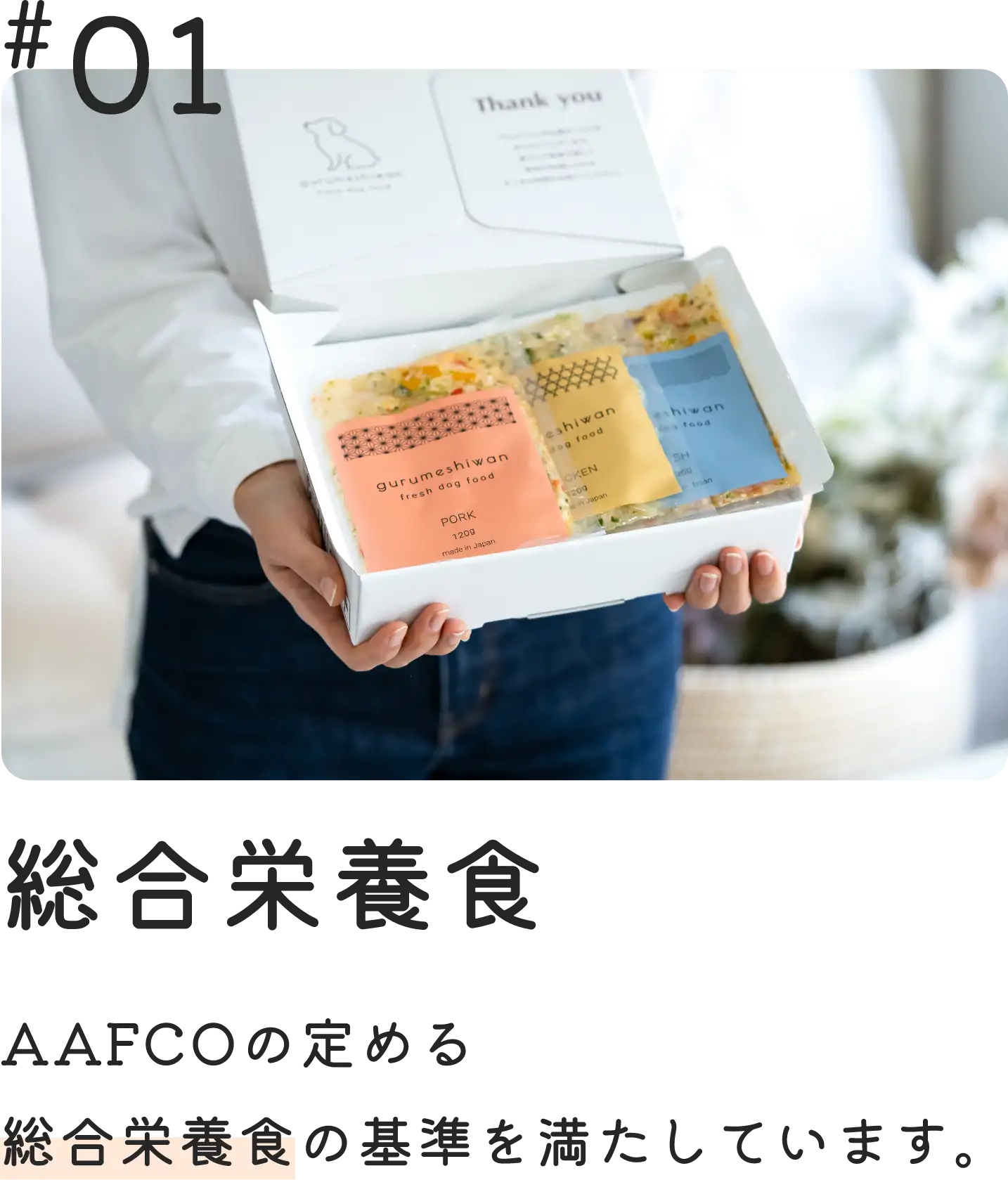 総合栄養食　AAFCOの定める総合栄養食の基準を満たしています。