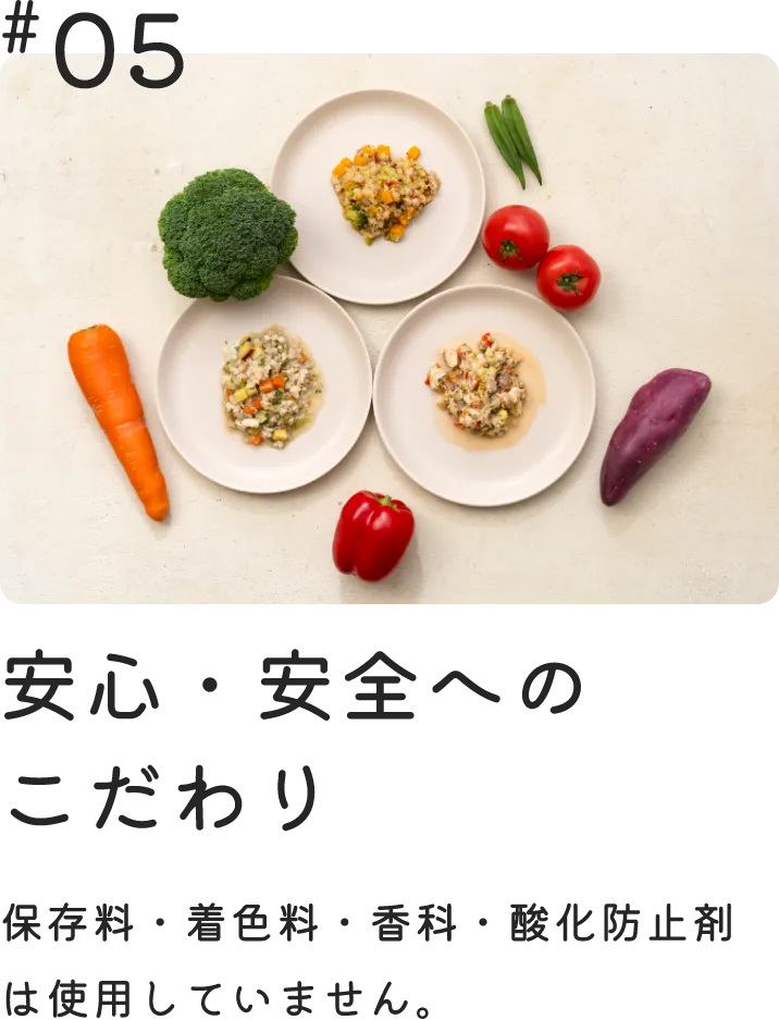 安心・安全へのこだわり　保存料・着色料・香科・酸化防止剤は使用していません。