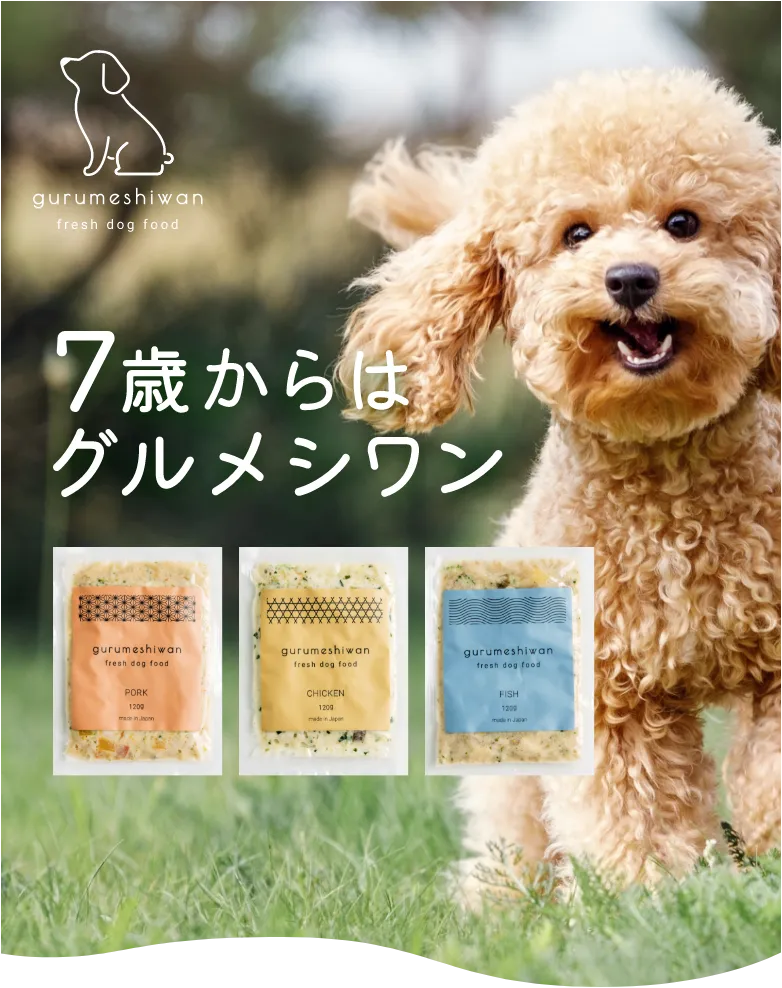 7歳からはグルメシワン