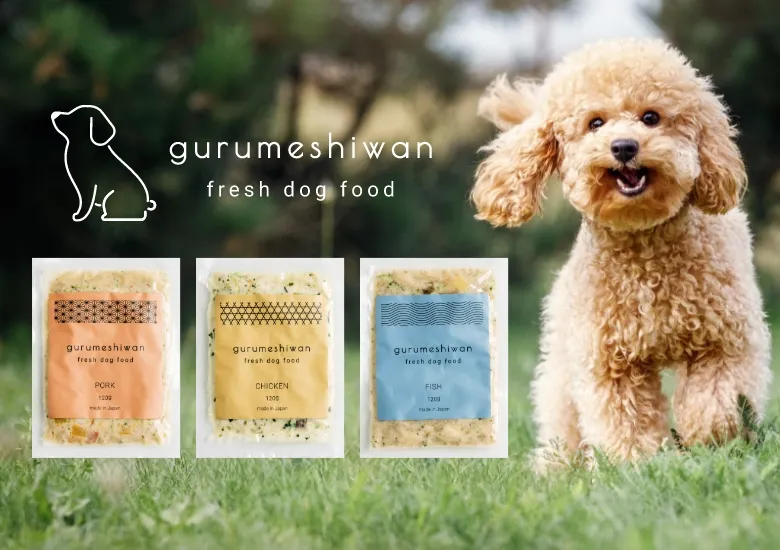 gurumeshiwan fresh dog food